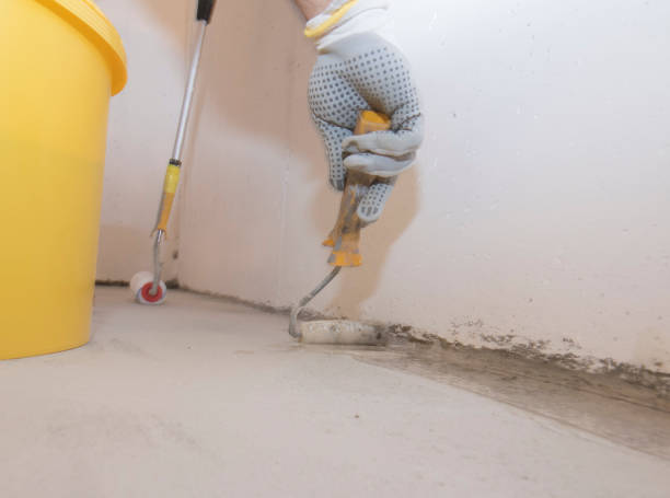 Best Pest Exclusion Services  in Coopersville, MI